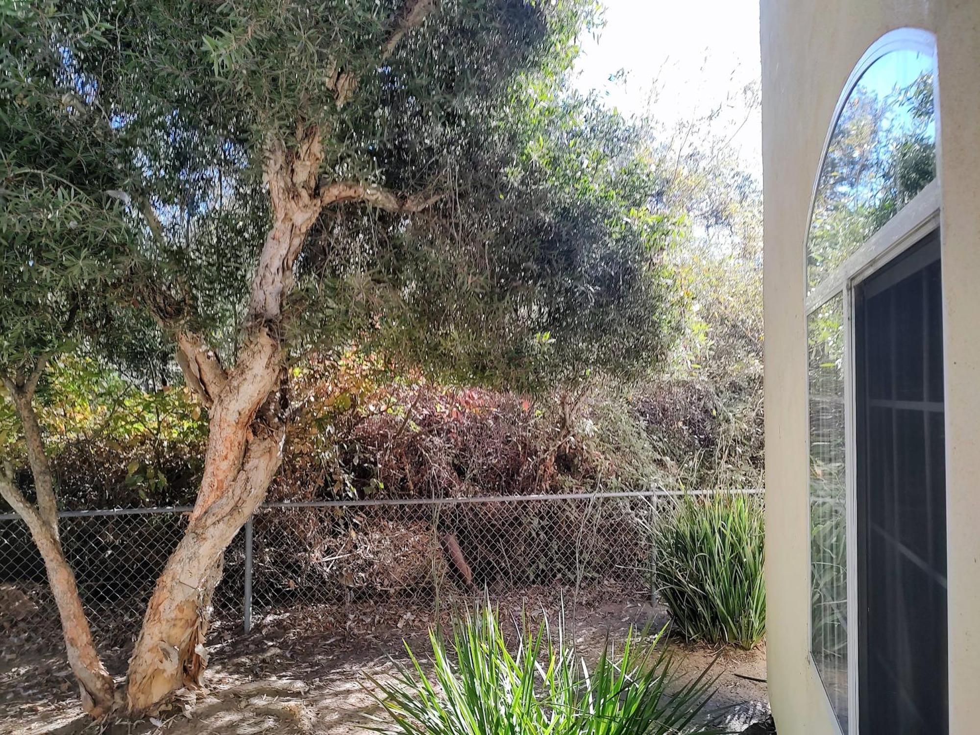 אושיאנו Pacific Plaza Resort מראה חיצוני תמונה